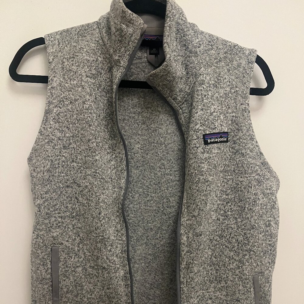 Patagonia Better Sweater Fleece Vest